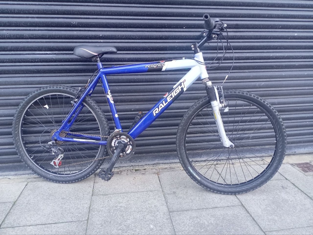 Raleigh Incognito Mountain Bike