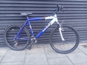 Raleigh Incognito Mountain Bike