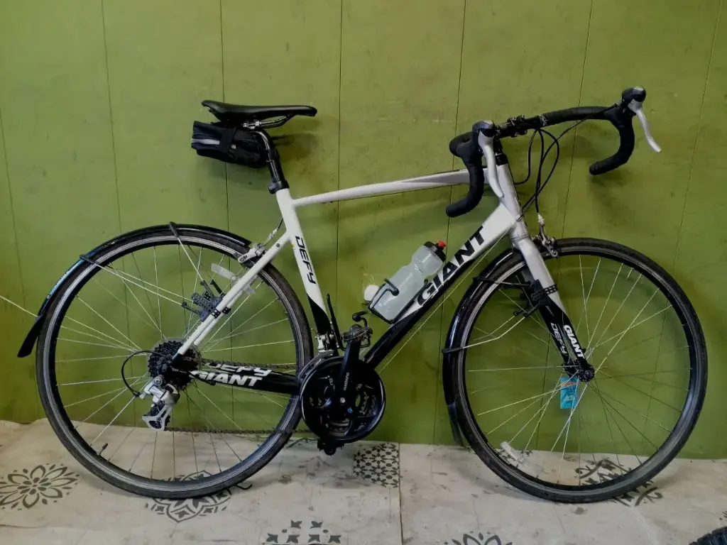 Giant Defy