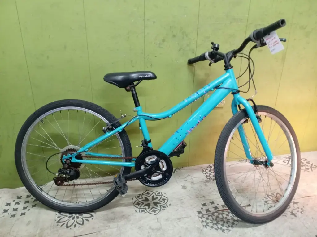 Apollo Bike