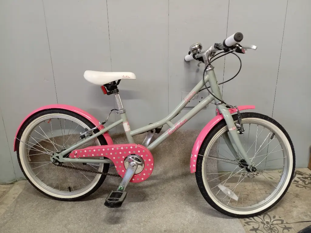 Pendleton Hanberry Girls bike 20 inch wheels