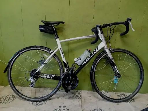 Giant Defy